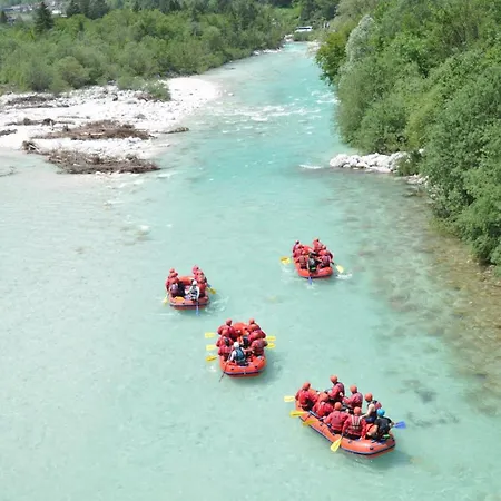 7 Flower Street * Sempeter pri Gorici