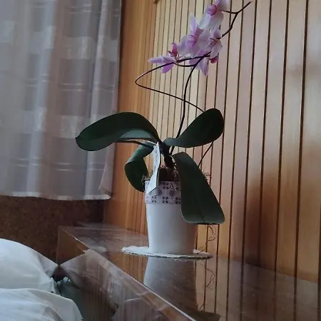 7 Flower Street *