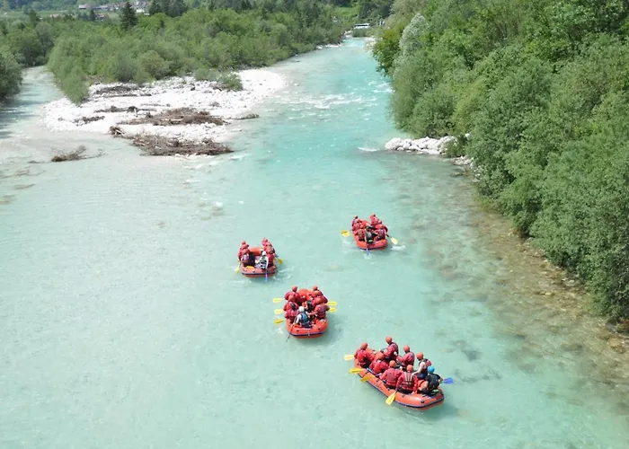 7 Flower Street * Sempeter pri Gorici