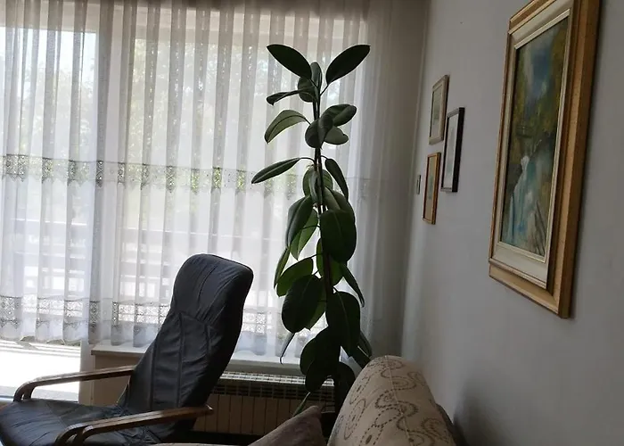 7 Flower Street Sempeter pri Gorici