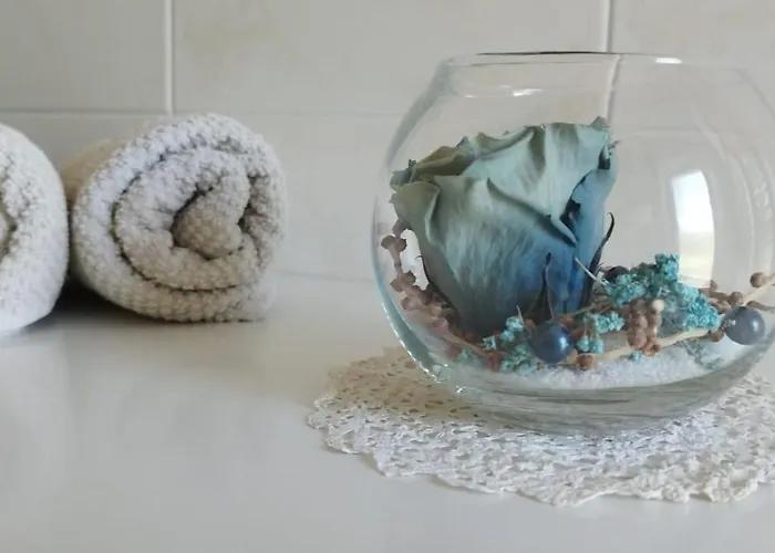 Apartment 7 Flower Street *